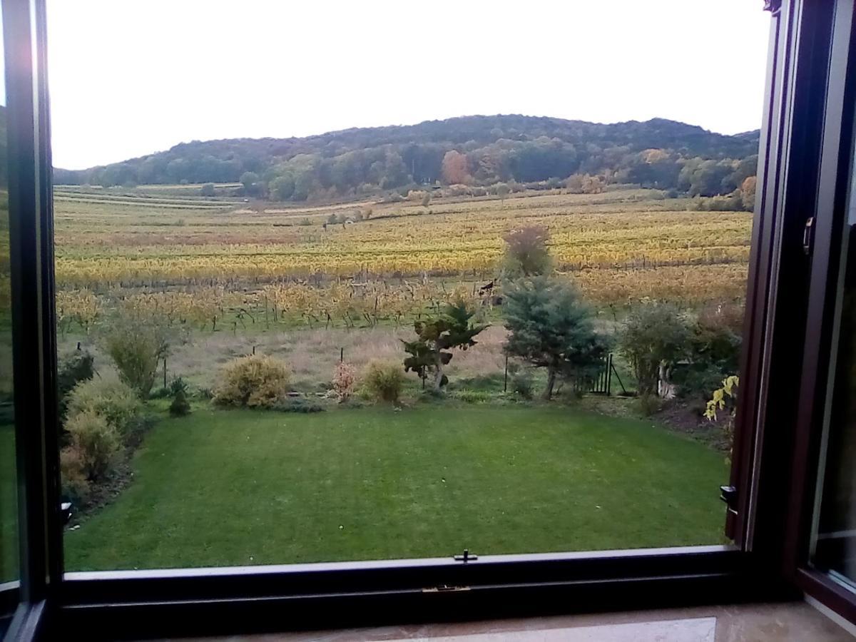 Top Over Vienna, Perchtoldsdorf Weinberge Ideal With Carアパートメント エクステリア 写真